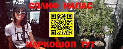 стаф Будённовск